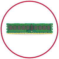 ram